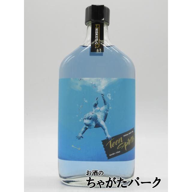 ウォータードラゴン ティーンスピリッツ ジン 45度 375ml : お酒のちゃ