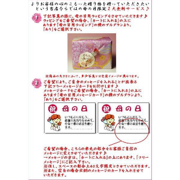 美濃焼桜 あやめ柄ペアマグカップ メッセージカードサービスあり 母の日 父の日 敬老の日ギフト クリスマスプレゼント Mg Kaku 003p 茶心茶屋 通販 Yahoo ショッピング