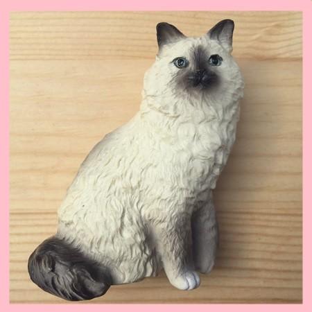 ネコポス便 マグネット バーマン 猫グッズ 激安 C 01 チャイディーwanwan 通販 Yahoo ショッピング