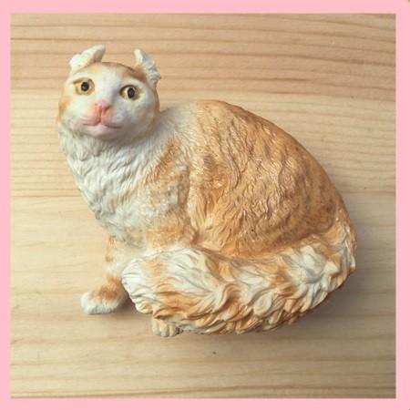 ネコポス便】 マグネット アメリカン カール 【猫グッズ 激安】 :C-03 