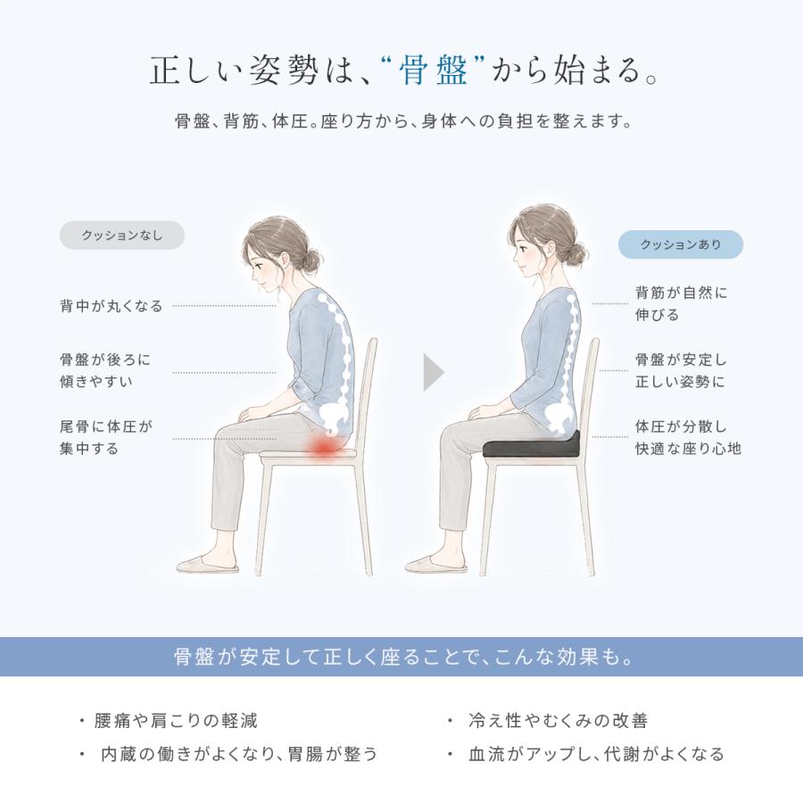 Royal Life クッション 椅子 低反発 腰痛 オフィス 低反発クッション