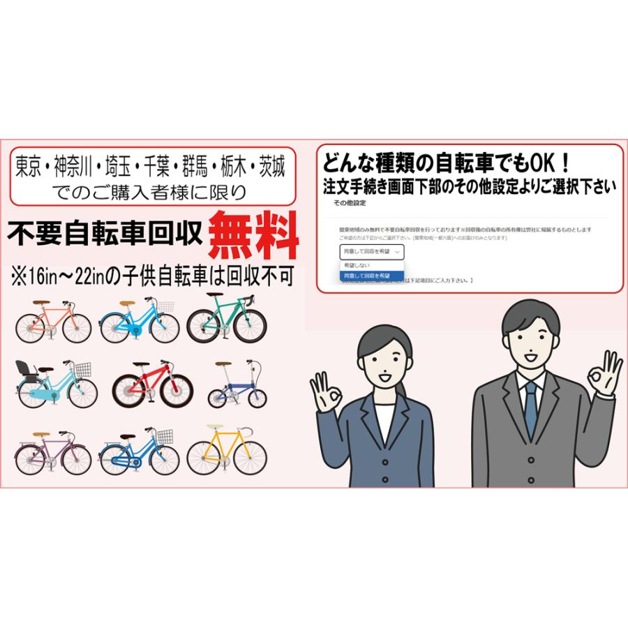 自転車26インチLupinus(ルピナス)LP-266WSD 後カゴ付き軽快車 6段変速 ダイナモライト 東京・神奈川・大阪送料無料！ | Lupinus | 19