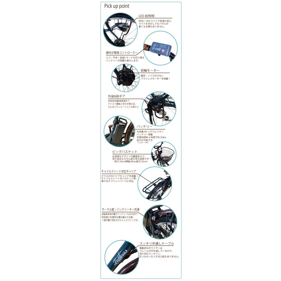 Lupinus（ルピナス） 電動自転車 電動アシスト自転車 自転車 6段ギア