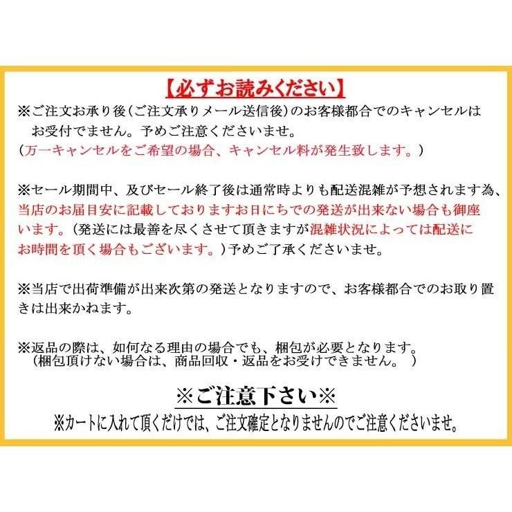 Lupinus 電動自転車 電動アシスト自転車 自転車 6段ギア付き 26