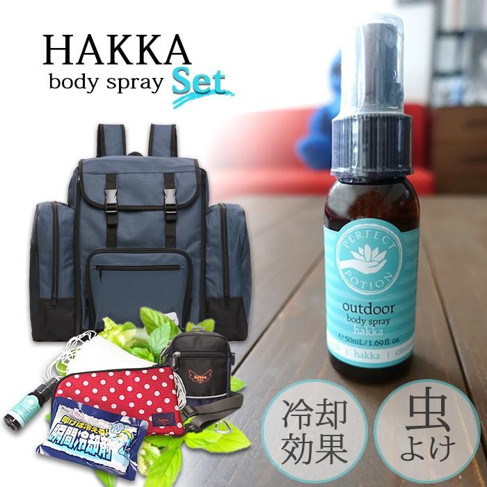 素敵な 夏のアウトドア福袋 サブリュック 男女兼用 自然学校 アロマスプレー 虫よけ対策 熱中症対策 325 マスクケース 310 リーベン リュックサック デイパック カラー グレーカモフラージュ Foundationswellness Net