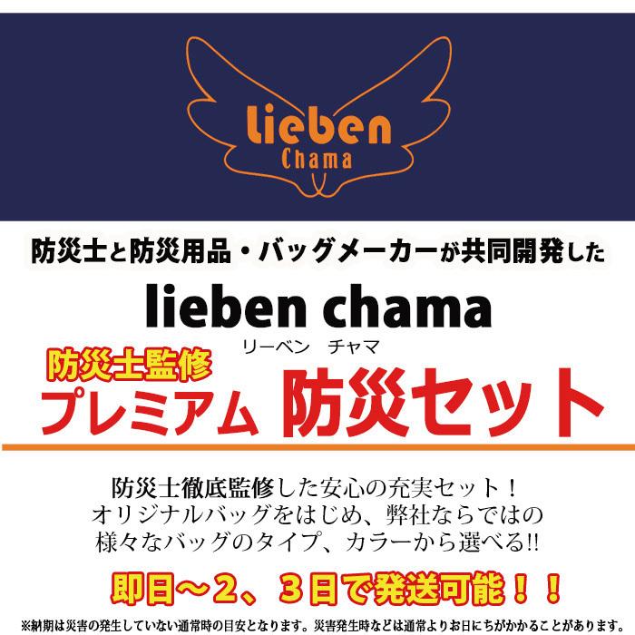 非常食 防災食 備蓄食料 保存食 7日分 24種 58点 災害用食料  防災グッズ 避難 ごはん おにぎり パン  詰替 備蓄 アルファー米 乾パン ビスケット_1