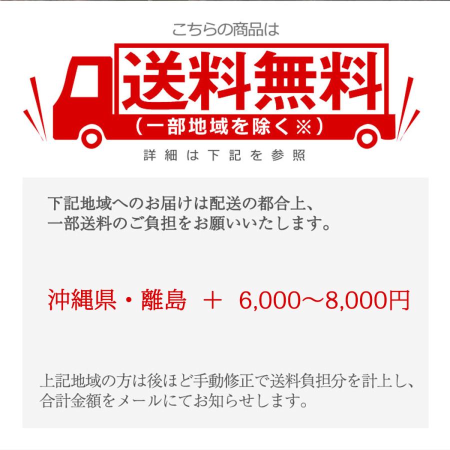 ポイント5倍 キャリーケース スーツケース ゲンガー ポケモン Sサイズ Mサイズ Lサイズ 機内持込 拡張 37L 62L 95L ４輪 旅行 修学旅行 TSロック ABS pk-0908の画像
