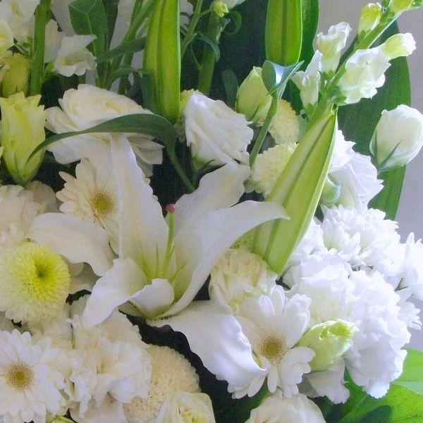 お供え 花 お悔み 仏花 アレンジメント お盆 お彼岸 命日 一周忌 49日法要 三方見 アレンジ ピンポンマム 白グリーン |  | 01