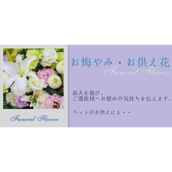 お供え 花 お悔み 仏花 アレンジメント お盆 お彼岸 命日 一周忌 49日法要 三方見 アレンジ ピンポンマム 白グリーン |  | 03