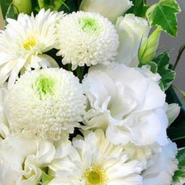 アレンジメント お供え お悔み 花 法事 一周忌 49日法要 命日 お盆 お彼岸 三方見 アレンジ ピンポンマム 白グリーン ペット 【北海道九州・中国四国配送不可】 |  | 02