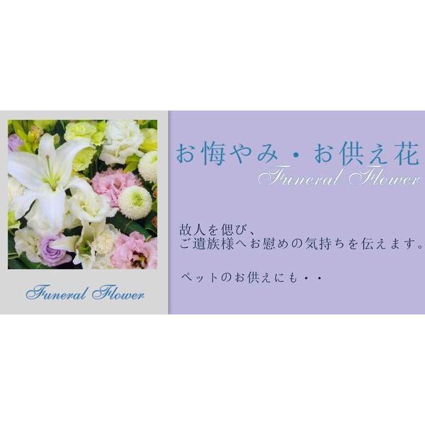 アレンジメント お供え お悔み 花 法事 一周忌 49日法要 命日 お盆 お彼岸 三方見 アレンジ ピンポンマム ピンク系 ペット |  | 03