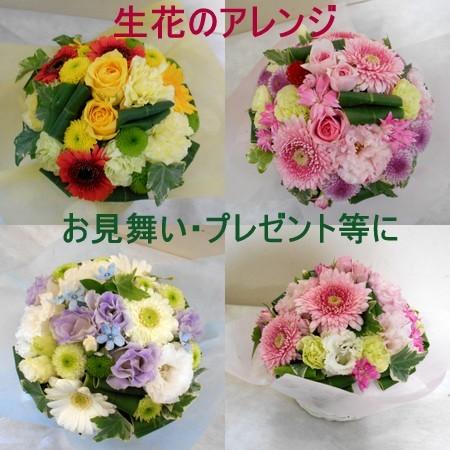 誕生日 花 御祝 お見舞い アレンジメント フラワーギフト 結婚記念日 送別 御礼 季節のおまかせフラワーギフト レビューで送料無料 |  | 02