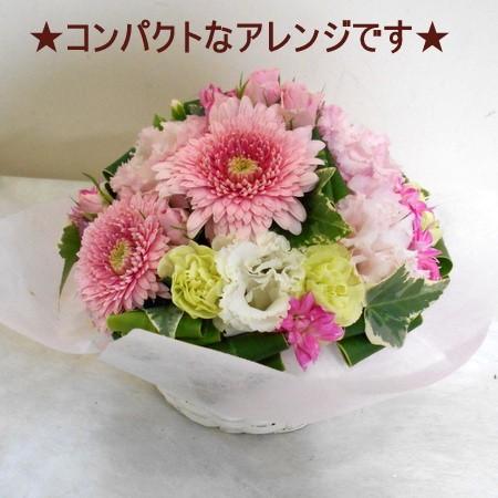 誕生日 花 御祝 お見舞い アレンジメント フラワーギフト 結婚記念日 送別 御礼 季節のおまかせフラワーギフト レビューで送料無料 |  | 03