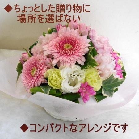 誕生日 花 御祝 お見舞い アレンジメント フラワーギフト 結婚記念日 送別 御礼 季節のおまかせフラワーギフト レビューで送料無料 |  | 04