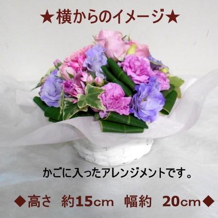 誕生日 花 御祝 お見舞い アレンジメント フラワーギフト 結婚記念日 送別 御礼 季節のおまかせフラワーギフト レビューで送料無料 |  | 05