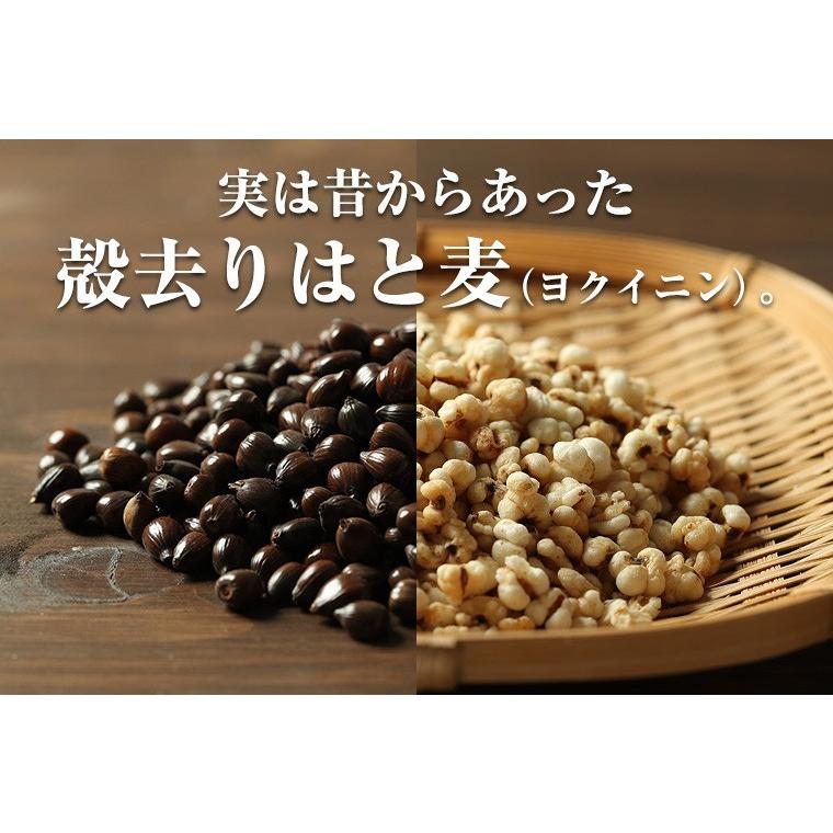 ハトムギ そのまま食べる はと麦 はとむぎ スナック 100ｇ 送料無料 はとむみ 煎り 焙煎 美容 健康 ヨクイニン はと麦茶 はとむぎ茶 国内製造 シリアル｜chamise｜05