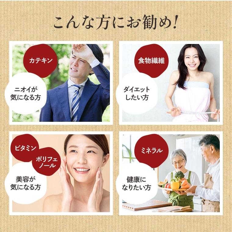 粉末緑茶 国産 50g 2袋セット オーガニック 送料無料 お茶 緑茶 日本