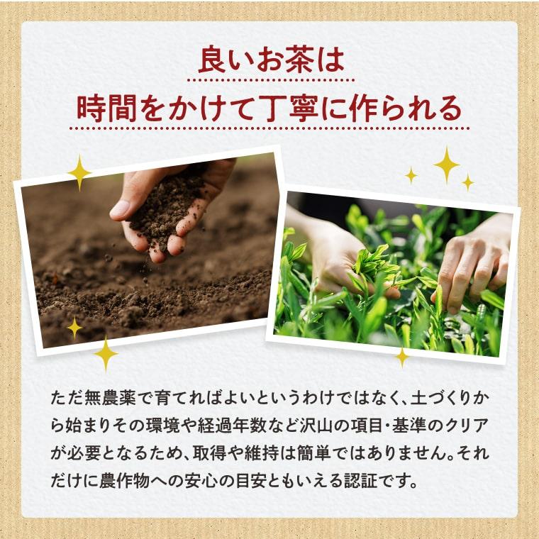 粉末緑茶 国産 50g 2袋セット オーガニック 送料無料 お茶 緑茶 日本