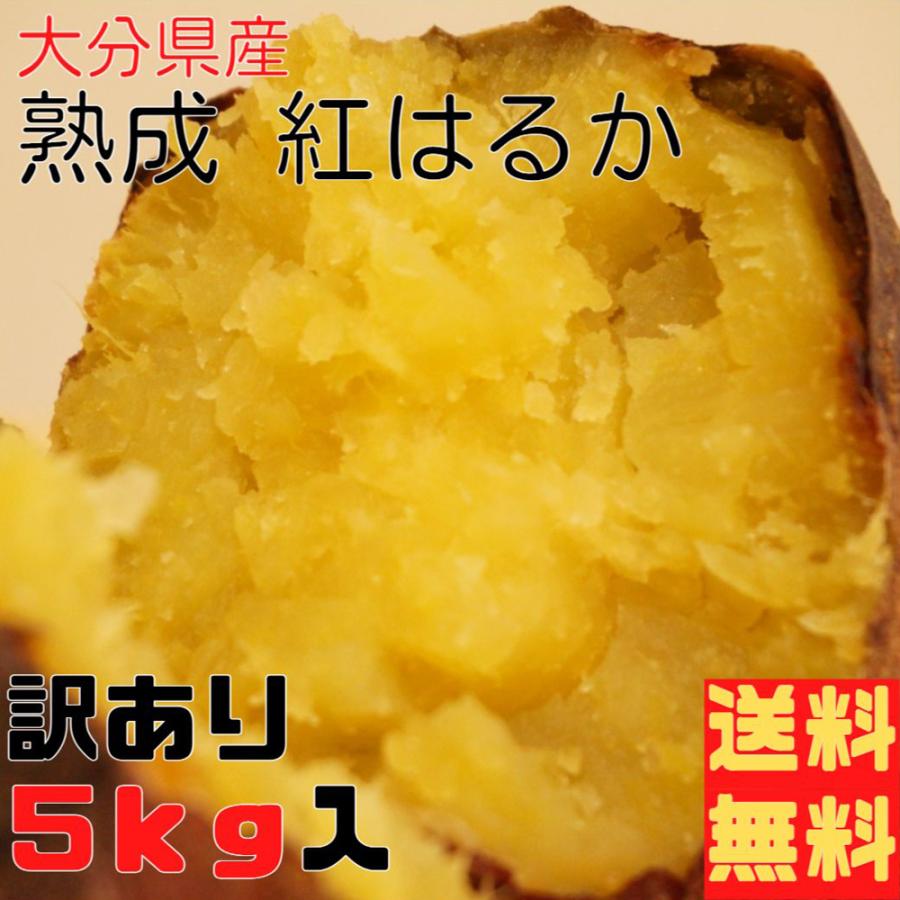 紅はるか 5kg 訳あり 大分県産 焼き芋 スイーツ さつまいも サツマイモ お芋 やさい 野菜 おやつ 蒸し芋 送料無料 爆買（Yahoo!・緑茶と健康茶の専門店 茶の心）