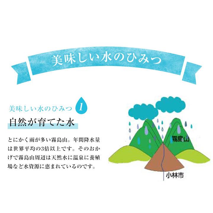 水 シリカ水 霧島シリカ天然水 500ml 48本 九州産 ペットボトル ケース 国産 天然水 ミネラルウォーター