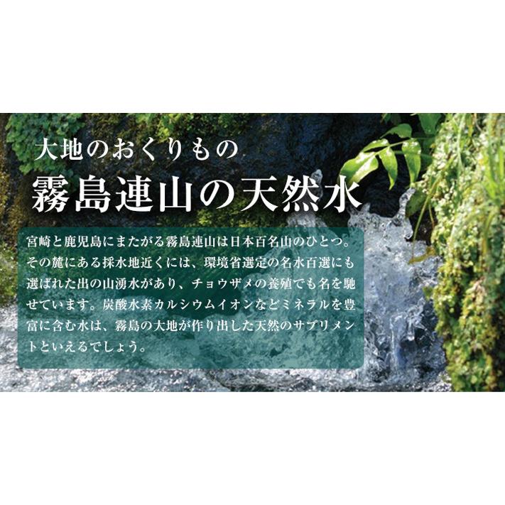 水 シリカ水 霧島シリカ天然水 500ml 48本 九州産 ペットボトル ケース 国産 天然水 ミネラルウォーター