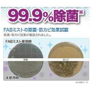 除菌スプレー 300ml 除菌 消臭 防カビ スプレー ボトルタイプ FABMIST ファブミスト 赤ちゃん ペット マスク 衣服｜chamise｜02