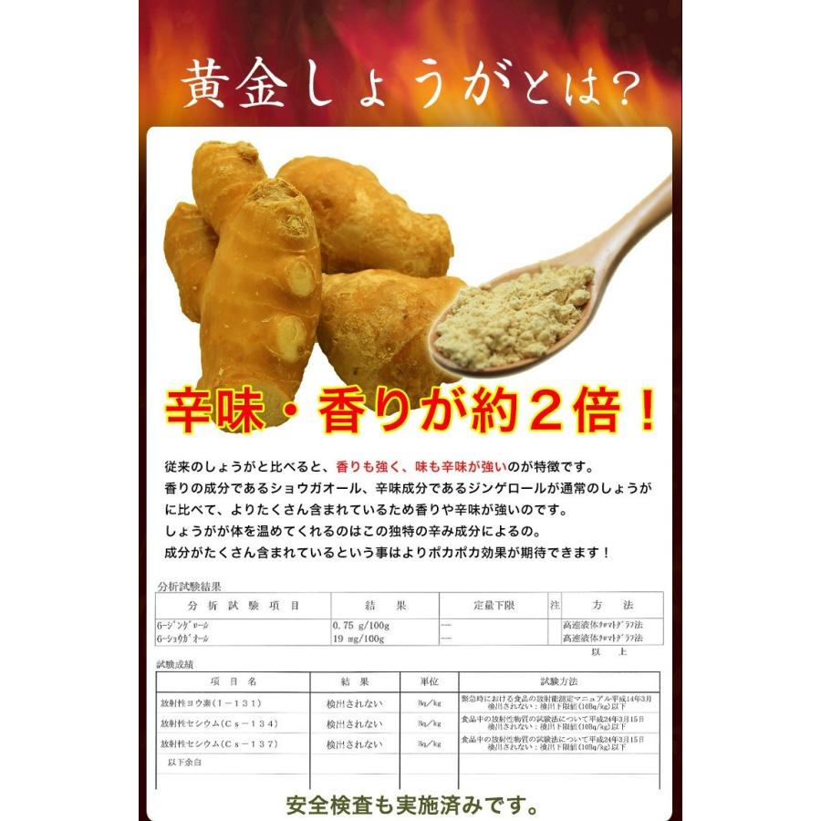 しょうが 国産 粉末 80g 送料無料 生姜 鹿児島県産 ショウガ 黄金生姜 パウダー |  | 02