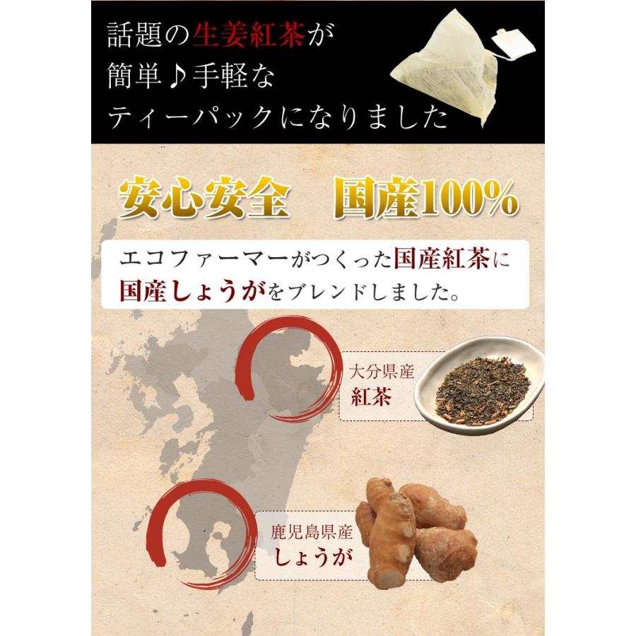 生姜紅茶 国産 30包 ティーバッグ 送料無料 健康茶 しょうが紅茶 |  | 01