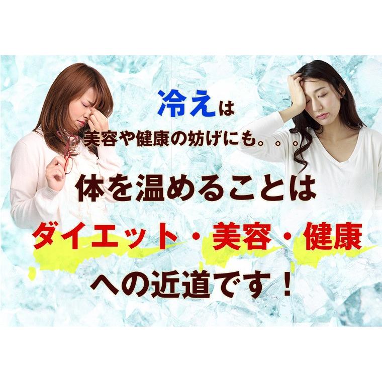 生姜紅茶 国産 30包 ティーバッグ 送料無料 健康茶 しょうが紅茶 |  | 02