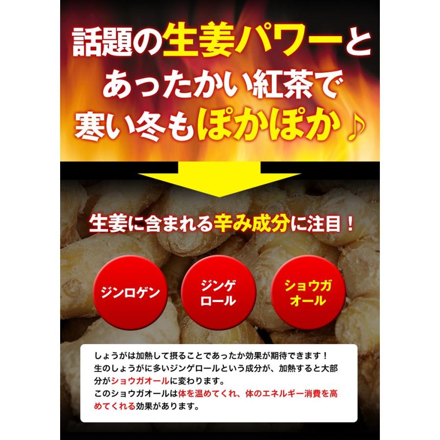 生姜紅茶 国産 30包 ティーバッグ 送料無料 健康茶 しょうが紅茶 |  | 03