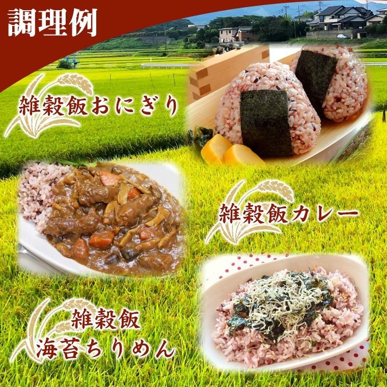 五穀米 国産 200g 送料無料 五穀 雑穀 ブレンド 九州産 雑穀米 五穀米 国産 200g 送料無料 五穀 雑穀 ブレンド 九州産 雑穀米
