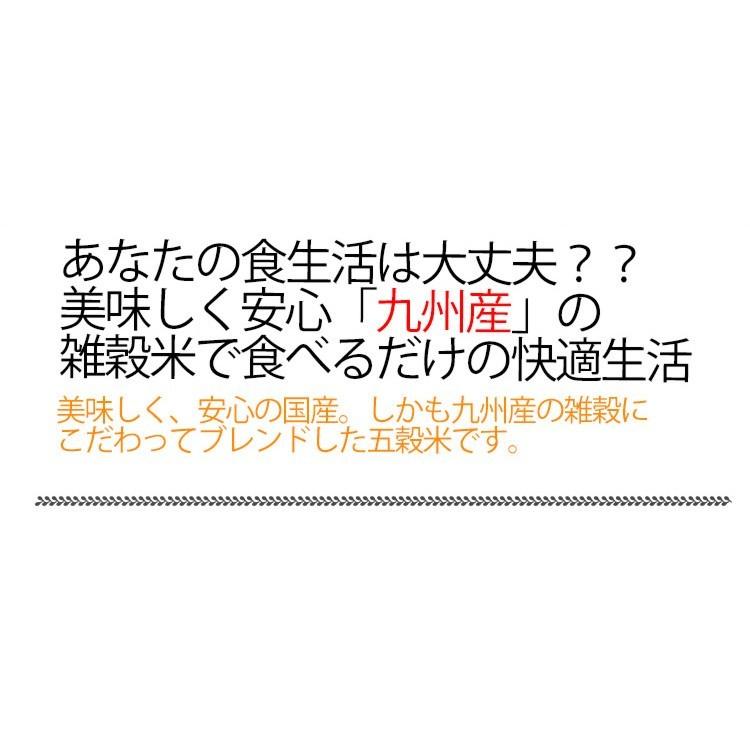 五穀米 国産 200g 送料無料 五穀 雑穀 ブレンド 九州産 雑穀米 九州産 もちあわ 大豆 もちきび 黒米 もち麦｜chamise｜09