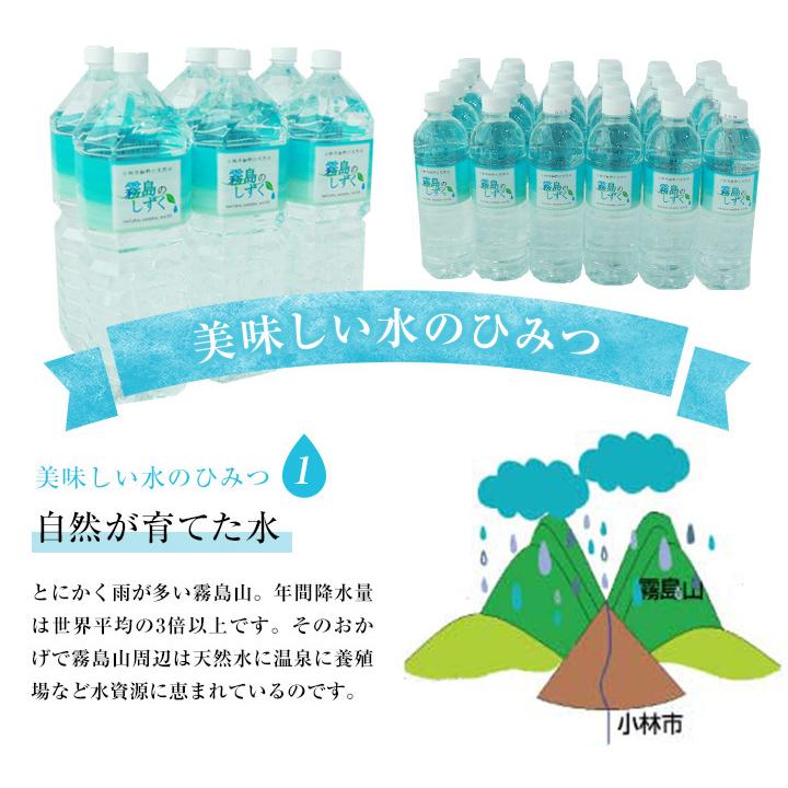 ミネラルウォーター 霧島のしずく 500ml 48本 九州産 水 ペットボトル