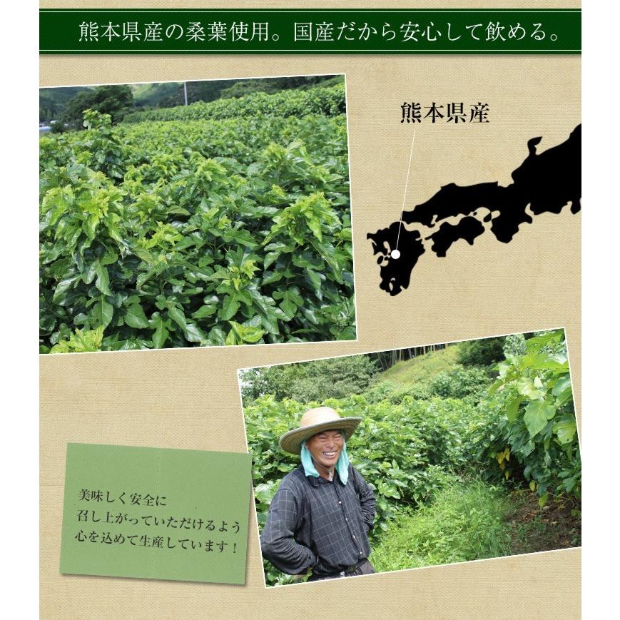 桑 青汁 包 桑の葉 粉末 国産 桑の葉茶 熊本県産 2g 送料無料 パウダー 健康茶 Kuwapowder2gp 緑茶と健康茶の専門店 茶の心 通販 Yahoo ショッピング