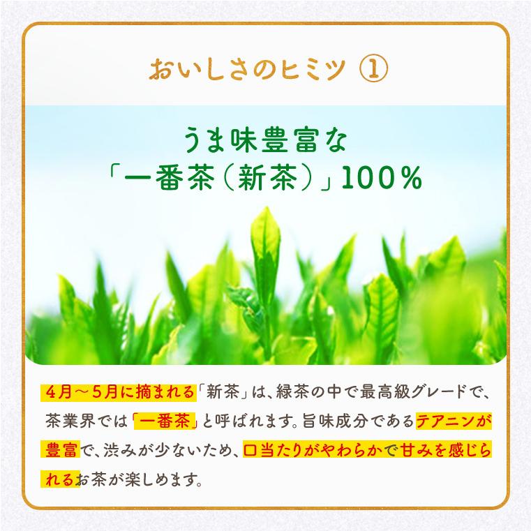 お茶 緑茶 ティーバッグ 初摘み茶 100包 3g 新茶 一番茶 深蒸し茶 大容量 おもてなし お徳用 業務用 九州産｜chamise｜06