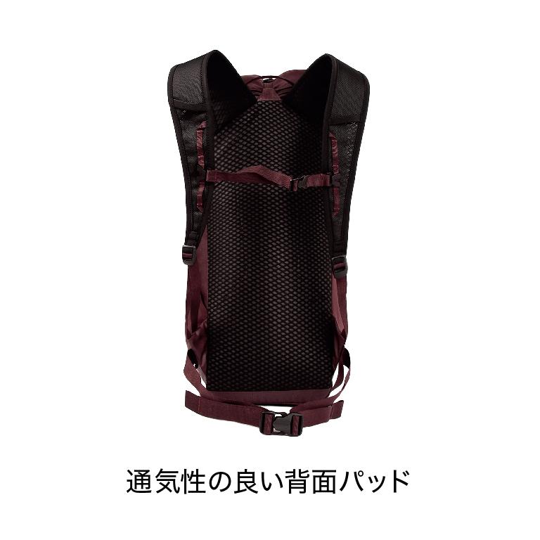 バックパック アルパイン用 BLUEICE ブルーアイス ドラゴンフライ26 軽量 100330 送料無 クライミング |  | 05