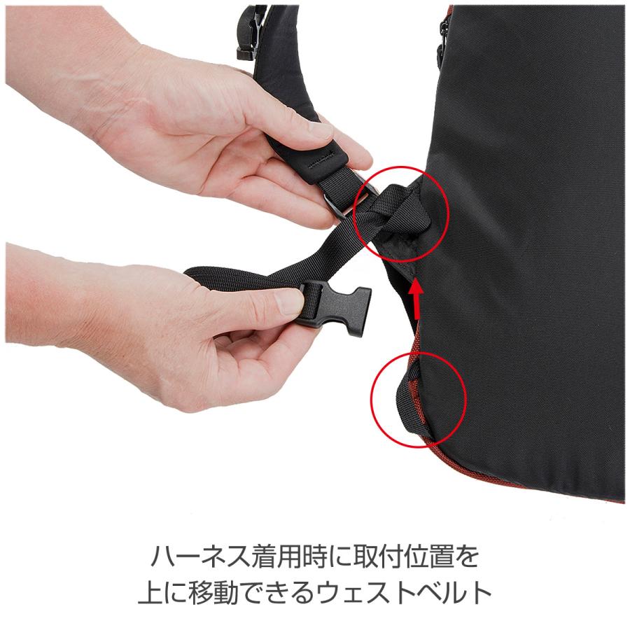 バックパック 軽量 アルパイン BlackDiamond ブラックダイヤモンド ロックブリッツ15 送料無 BD54089 | ブラックダイヤモンド | 08