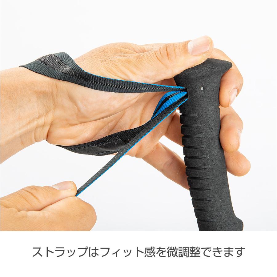 トレッキングポール BlackDiamond ブラックダイヤモンド ディスタンスFLZ 送料無料 BD82289 軽量 折り畳み | ブラックダイヤモンド | 06