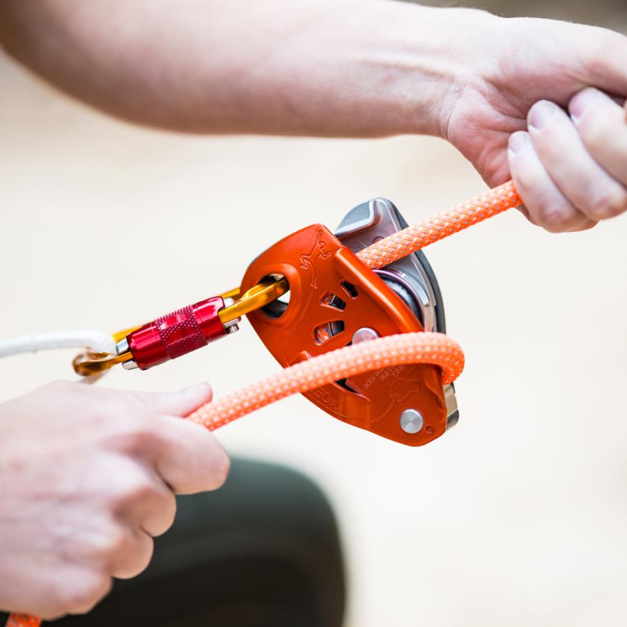 ビレイデバイス PETZL ペツル ネオックス 送料無 D016AA 新商品 リードクライミング_7