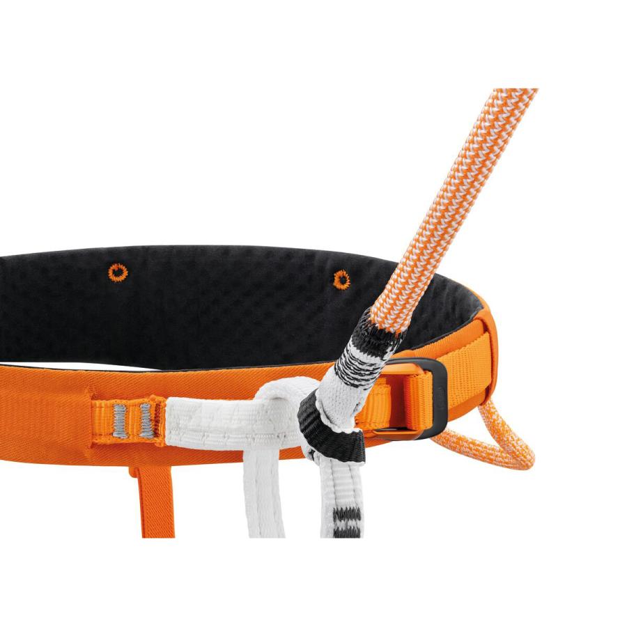 ランヤード PETZL ペツル コネクトアジャスト L034BA00 送料無 セルフビレイコード |  | 02