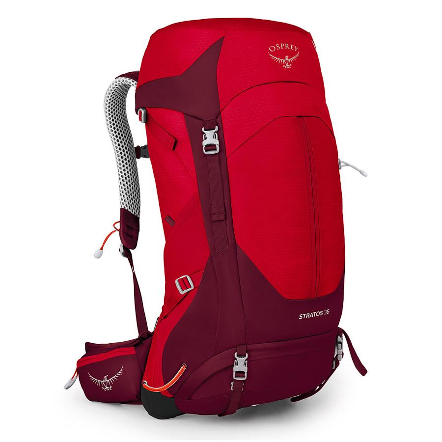 バックパック OSPREY オスプレー ストラトス36 送料無 OS50306 日帰り 登山 人気モデル｜chamonix｜05