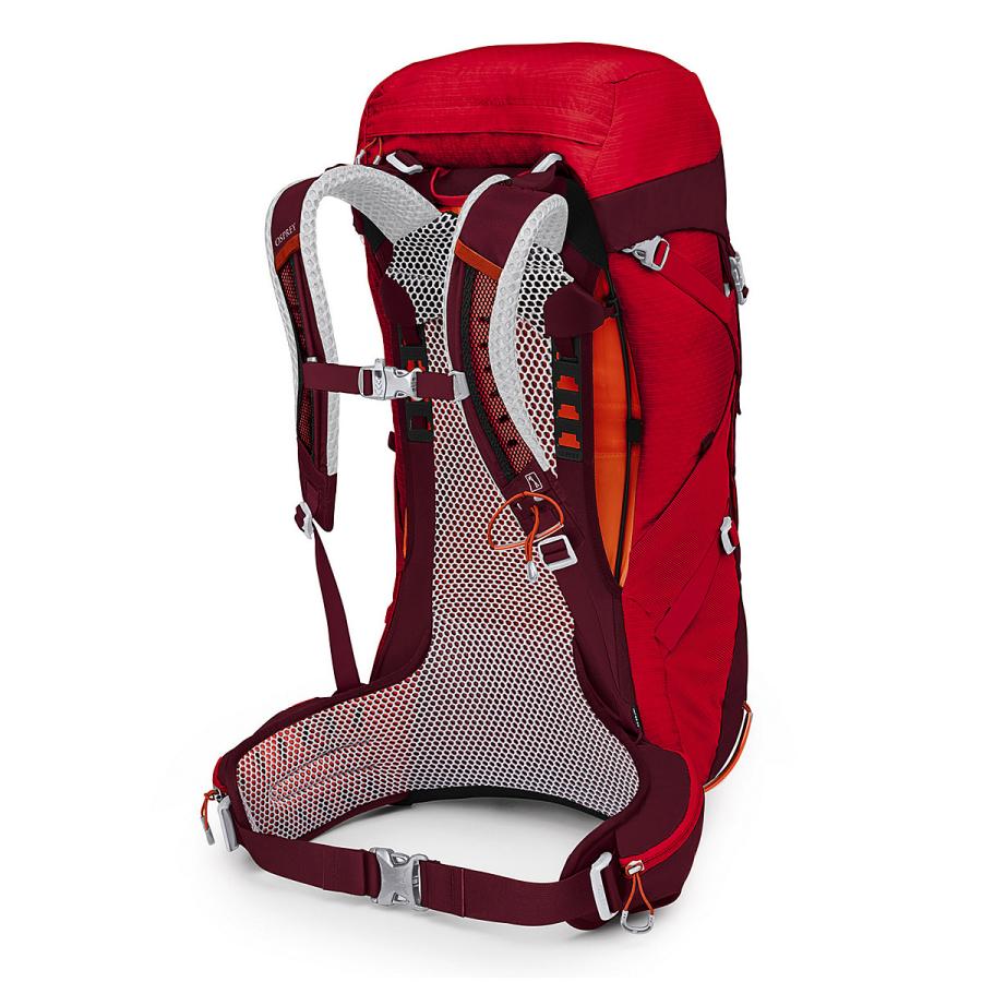 OSPREY（オスプレー） バックパック ストラトス36 送料無 OS50306 