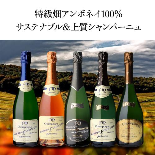 エリック・タイエ / ポール・クルエ シャンパン2本セット アンドレ