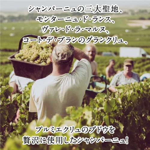 シャンパン サン ガール  オルパール ブラン ド ブラン ミレジメ 2004 ブリュット グランクリュ 750ml シャンパーニュ 浜運Aの画像