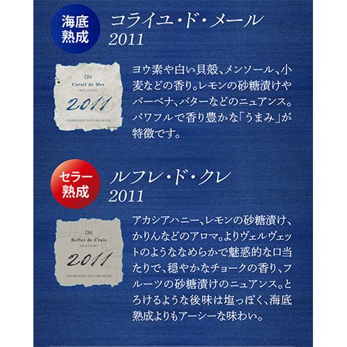 ドヤール マエ ミロワール ダルジャンソール 2012 海底熟成 入り 2本 セット 木箱 750ml シャンパン シャンパーニュ 虎_10
