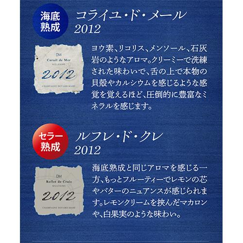 ドヤール マエ ミロワール ダルジャンソール 2012 海底熟成 入り 2本 セット 木箱 750ml シャンパン シャンパーニュ 虎_12
