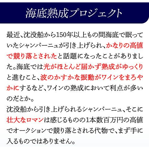 ドヤール マエ ミロワール ダルジャンソール 2012 海底熟成 入り 2本 セット 木箱 750ml シャンパン シャンパーニュ 虎_2