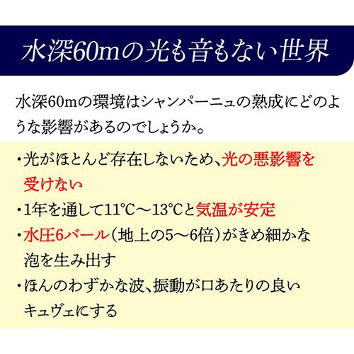 ドヤール マエ ミロワール ダルジャンソール 2012 海底熟成 入り 2本 セット 木箱 750ml シャンパン シャンパーニュ 虎_5