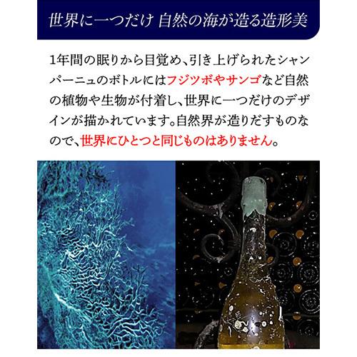 ドヤール マエ ミロワール ダルジャンソール 2012 海底熟成 入り 2本 セット 木箱 750ml シャンパン シャンパーニュ 虎_7