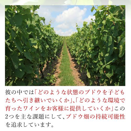 シャンパン クリストフ ミッシェル ブリュット 63 グラン クリュ 750ml